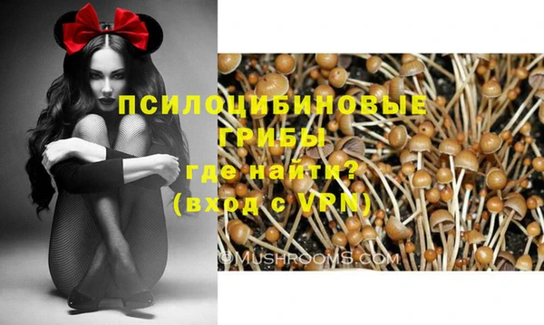 не бодяженный Аркадак