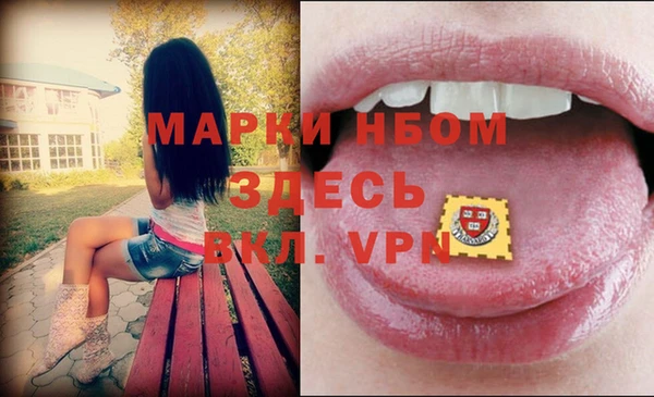 таблы Няндома