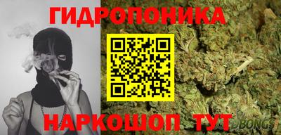 скорость Лесной