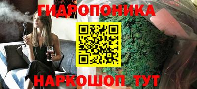 Альфа ПВП Кудрово