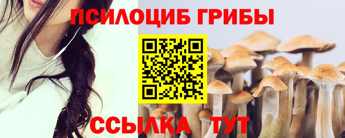 Псилоцибиновые грибы Cubensis Георгиевск